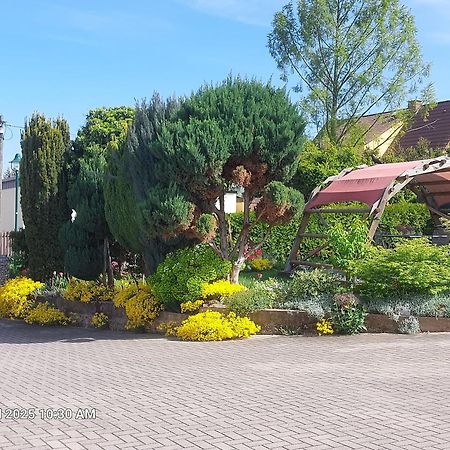 Ferienwohnung Bienwald Mit Pool Fuer 4 - 6 Personen Mit 3 Schlafzimmern Grobitz Exteriör bild