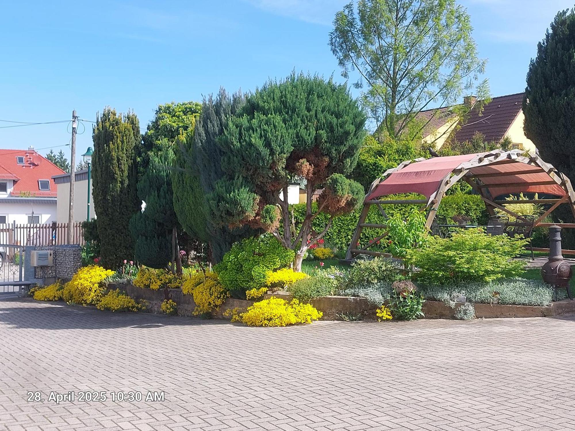 Ferienwohnung Bienwald Mit Pool Fuer 4 - 6 Personen Mit 3 Schlafzimmern Grobitz Exteriör bild